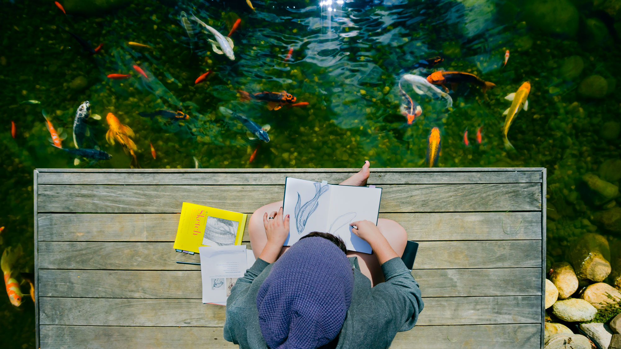 Person sitting and sketching on deck over koi pond